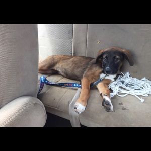 Meet your Posher, Maggie